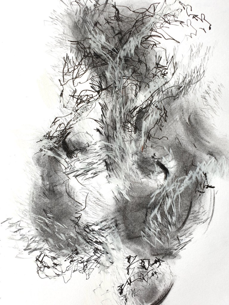 Abstract drawing of a tree in the wind