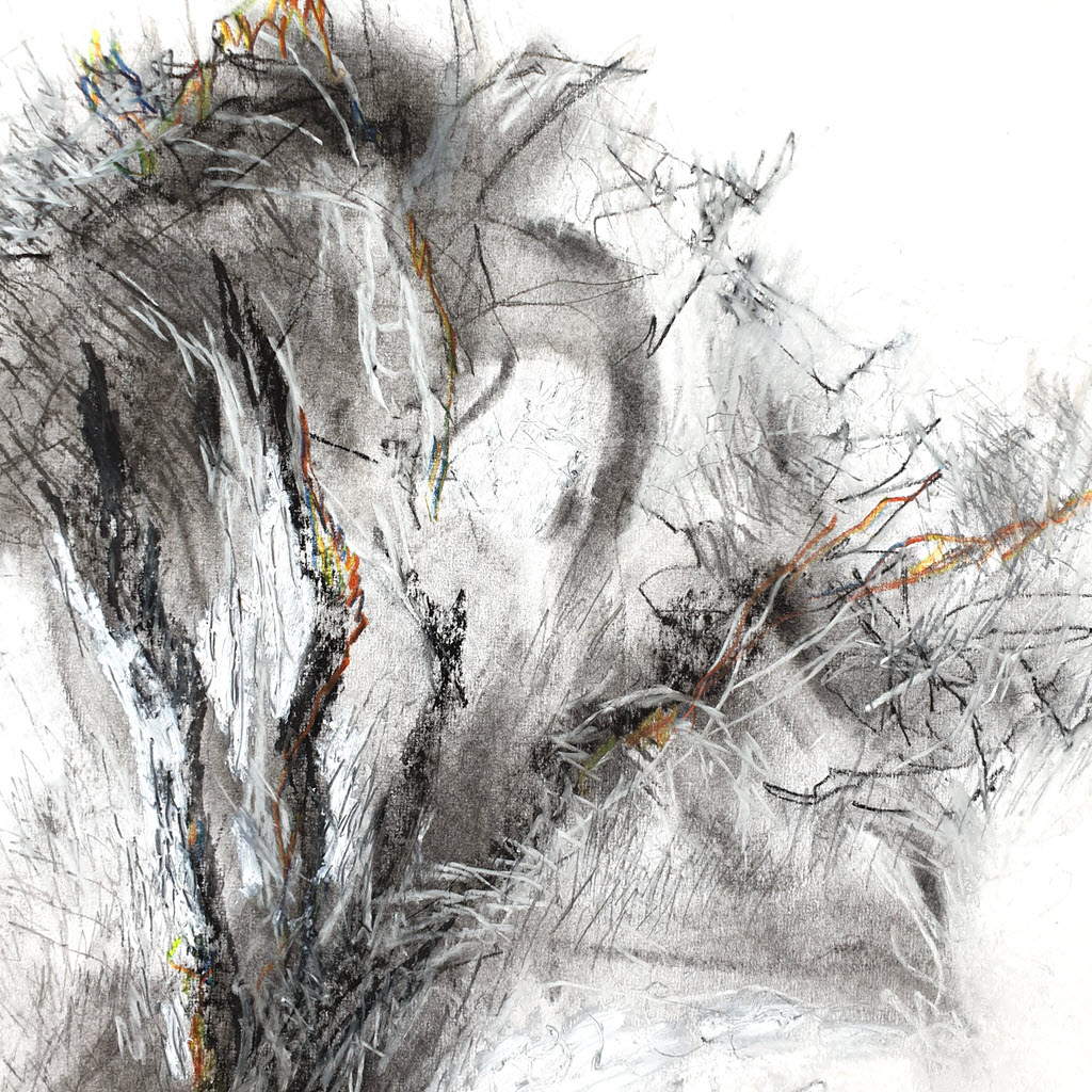 Detail of abstract drawing of a tree in the wind