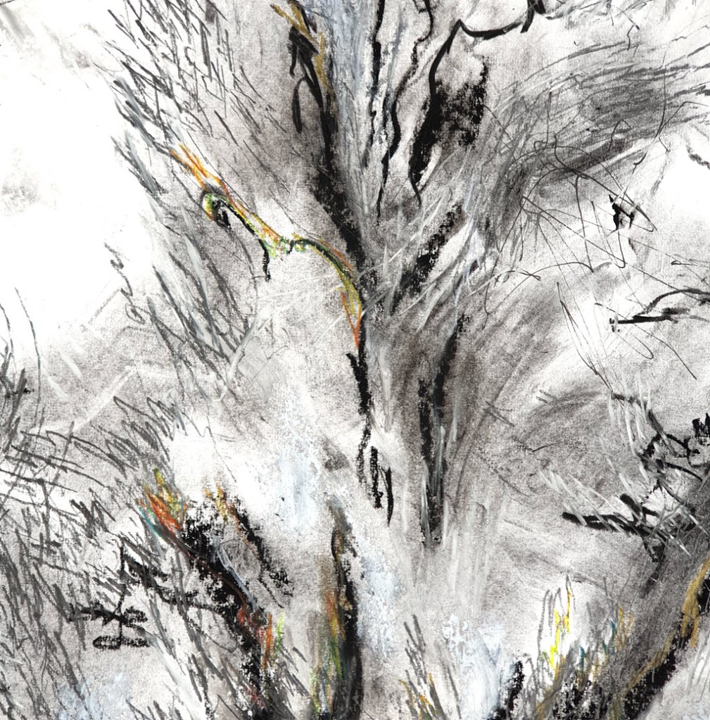 Detail of abstract drawing of a tree in the wind